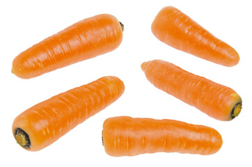 Five washed carrots without the topper isolated on white background.