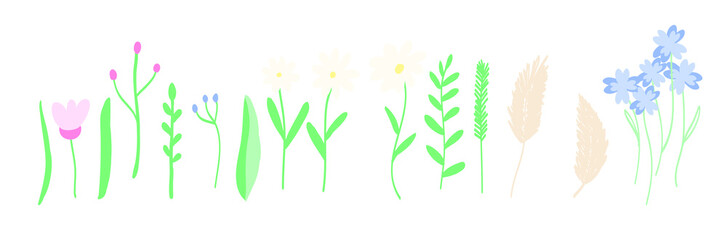 Fototapeta na wymiar Wildflowers set. Pampas grass, daisy, chamomile, buttercups, floral. Bohemian hand drawn color illustration 