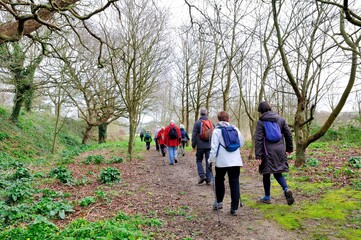 Group of retired hikers on a path in Brittany. France