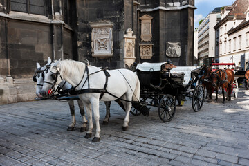 Naklejka na ściany i meble Queue of Beautiful Horse Drawn Carriages in Vienna, Stephansplatz (St. Stephen's Cathedral), Waiting for Tourists