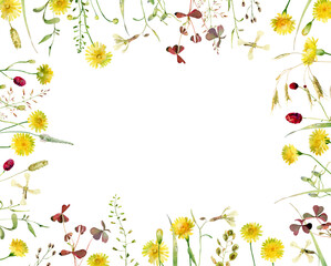 The watercolor frame of grass and wild yellow flowers on white background 