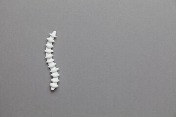 Human spine model on a gray background. Disc protrusion treatment. Space for text.