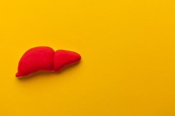 Human liver organ model on a yellow background. Treatment of viral hepatitis. Space for text.