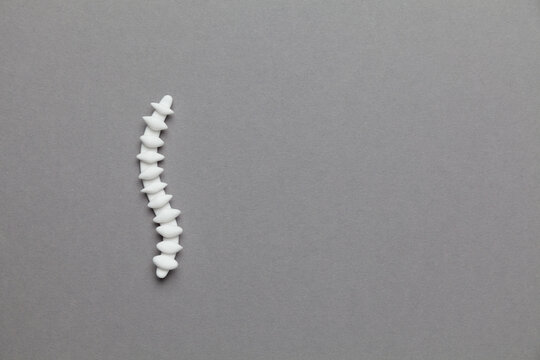Human spine model on a gray background. Disc protrusion treatment. Space for text.