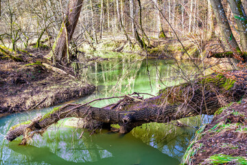 Mündungsbereich des Mehrbaches in die Wied