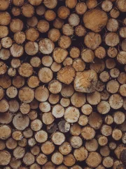 Möbelaufkleber A stack of freshly sawn logs © Dave Harrison-Ward