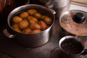 a pot of boiled potatoes at home on the stove