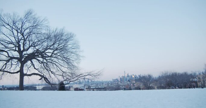 Snowy Brooklyn park with Manhattan in background