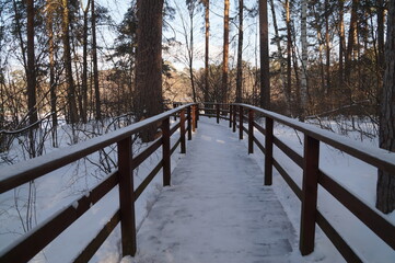 wooden bridge in the snow