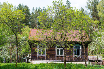 Cozy wooden countryside house among trees