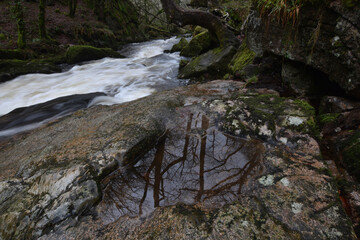 Golitha Falls Bodmin Moor Cornwall