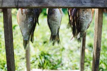 Dried fish on a rope, close-up. Salted fish is dried in the air at home.