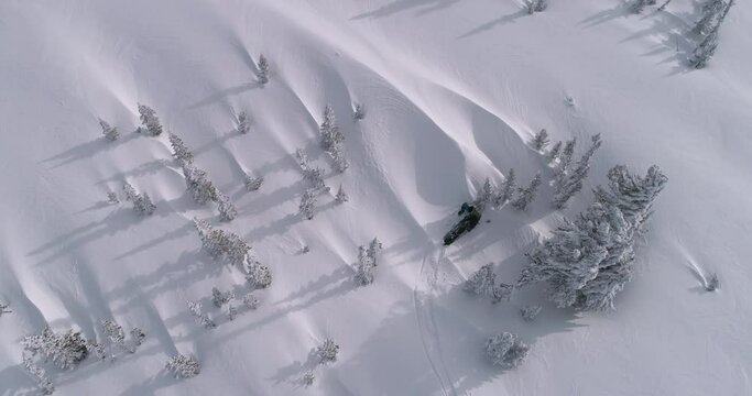 TOP VIEW: The pilot of a mountain snowmobile is stuck in a winter forest. the snowmobiler tries to free the snow bike from the trees to go further. christmas forest after a snow storm. Winter fun moto
