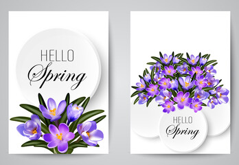 Set of banners with spring background, realistic blue crocuses design, floral bouquet in frame.