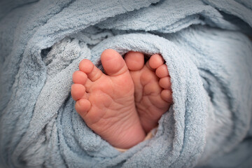 legs and toes of a newborn in a soft blue blanket