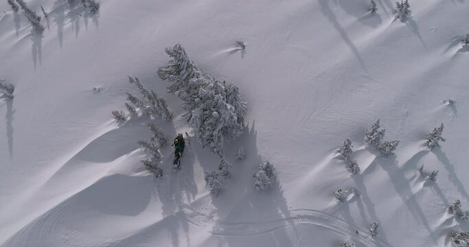 TOP VIEW: The pilot of a mountain snowmobile is stuck in a winter forest. the snowmobiler tries to free the snow bike from the trees to go further. christmas forest after a snow storm. Winter fun moto