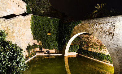 Bridge across moat near castle at night