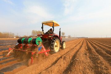 Farmers drive agricultural machinery to plant sweet potatoes in the fields.