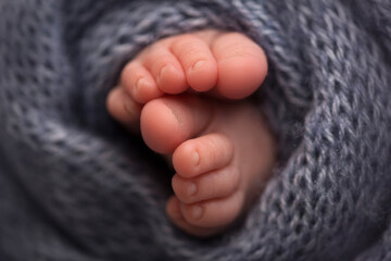 legs and toes of a newborn in a soft gray