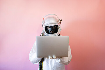 Man with gorilla mask and astronaut helmet with a laptop © karrastock