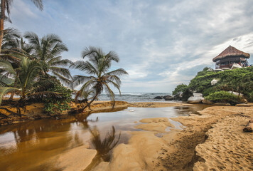 Tropical beach with palm trees and little river  in Colombia