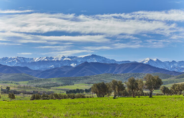 View of the green plain and snowy Atlas Mountains