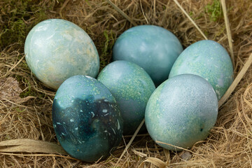 Fototapeta na wymiar Colorful easter egg concept. Preparing for Easter