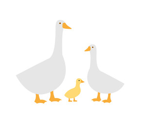 farm birds geese, goose and gosling vector illustration