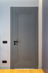 Grey door. Entrance to flat. Modern interior.