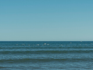 Gaviotas sobrevolando el mar