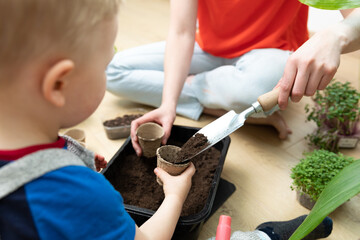 Home hobbies planting seeds. Young mother and son preparing soil by pooring dirt in to small pots. Spring time activities.