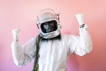 Portrait of man with gorilla mask and astronaut helmet raising his arms euphoric