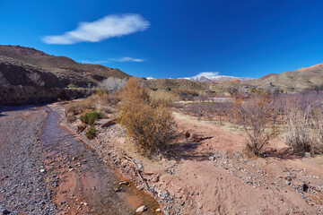 Fototapeta na wymiar View over river flowing through a sparse valley with bare birch trees and scattered coniferous trees on the surrounding hills on the way to Imilchil, Morocco.