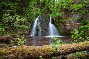 Waterfall in the woods