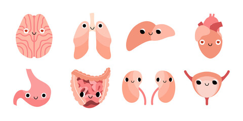 Cute internal organs character with smiling face. Funny healthy kawaii human organs with eyes: brain, lungs, liver, heart, stomach, intestines, kidneys, bladder. Vector flat cartoon illustration