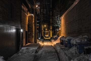Fototapeta na wymiar snow covered alley in the night