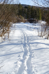 Tracks along a snow covered trail after a blizzard