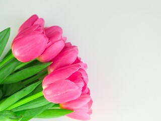 Bouquet of pink tulips on white background with space for text. Greeting card. Concept woman's or mother's day. Spring flowers background. Close-up
