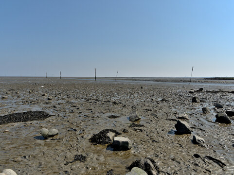 View over the Wadden sea and stones in East Frisia in summer with a clear blue sky 