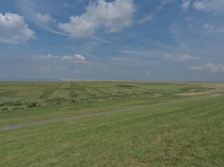 Blick vom Deich in Ostfriesland über Salzwiesen vor blauem Himmel mit einigen Wolken