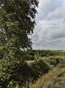 View over a moor landscape in east frisia with cloudy sky