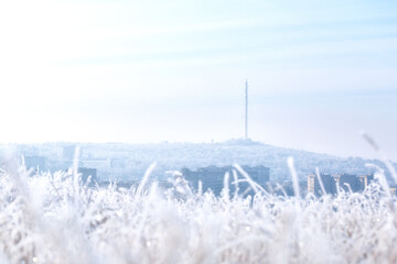 Urban winter landscape with frost
