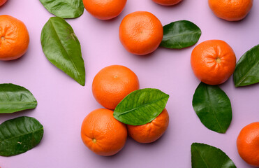 ripe tangerines and green leaves on a purple background