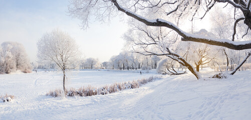 Snowy sunny day in the park