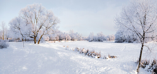 Snowy sunny day in the park