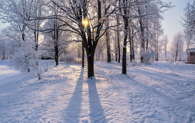 Obraz premium Snowy sunny day in the park