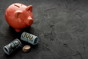 Investment concept. Piggy bank with money, close up