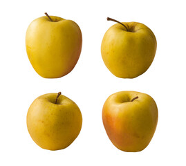 Set apple variety Golden Delicious