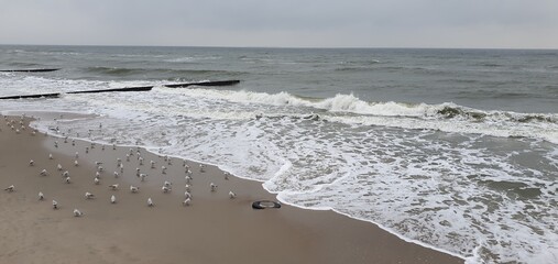 Only the waves, the wind, and the gulls.