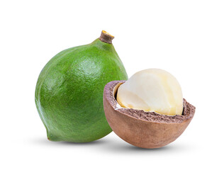 macadamia nuts with leaf isolated